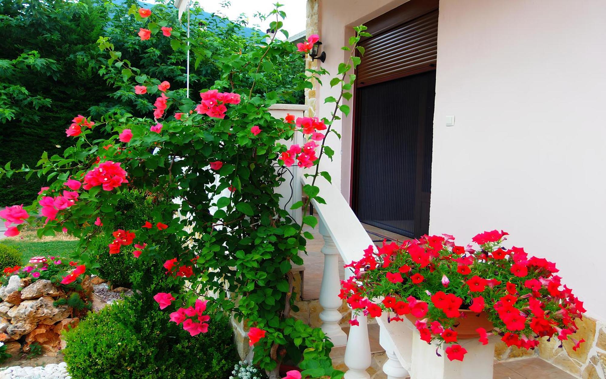 Relax Pozar Hotel Loutraki  Bagian luar foto